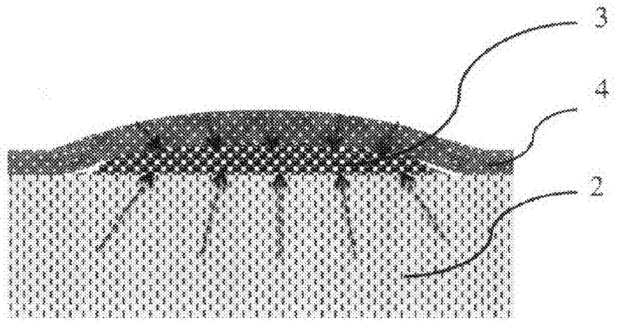 Method for Rapid Detection and Identification of micro-colonies using impregnated porous material