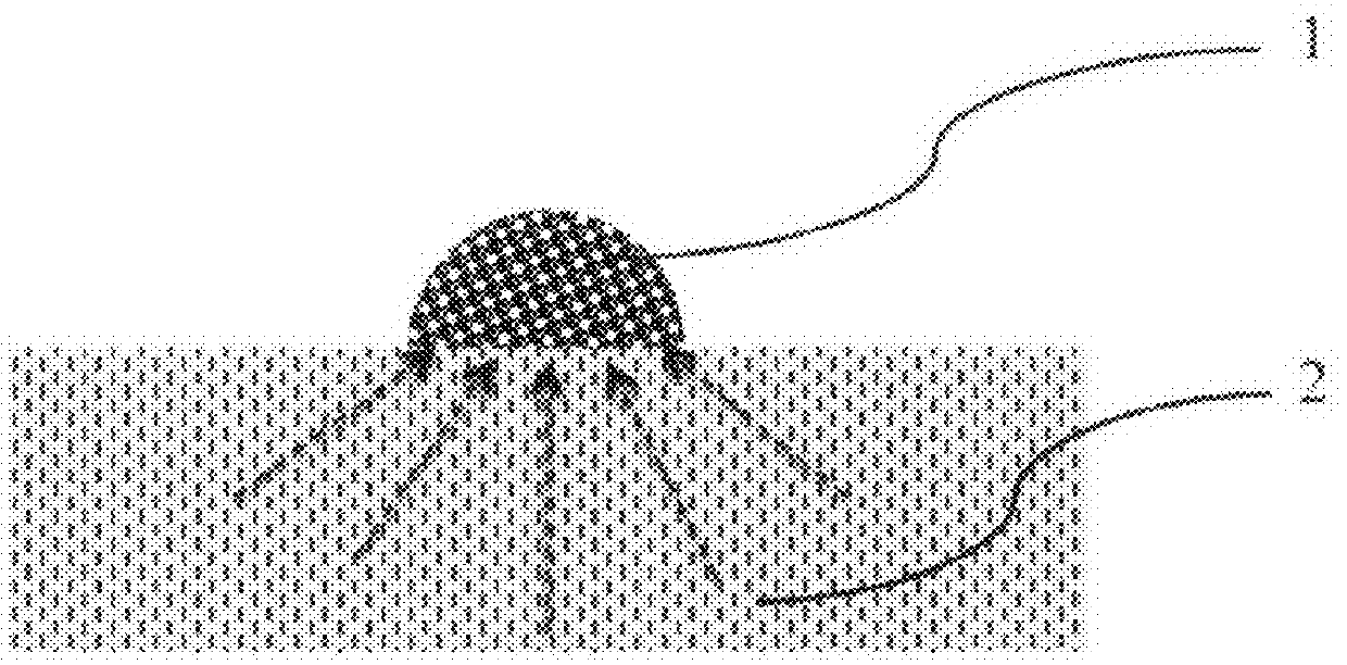 Method for Rapid Detection and Identification of micro-colonies using impregnated porous material