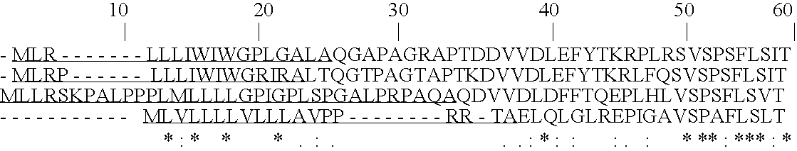 Heparanase activity neutralizing anti-heparanase monclonal antibody and other anti-heparanase antibodies