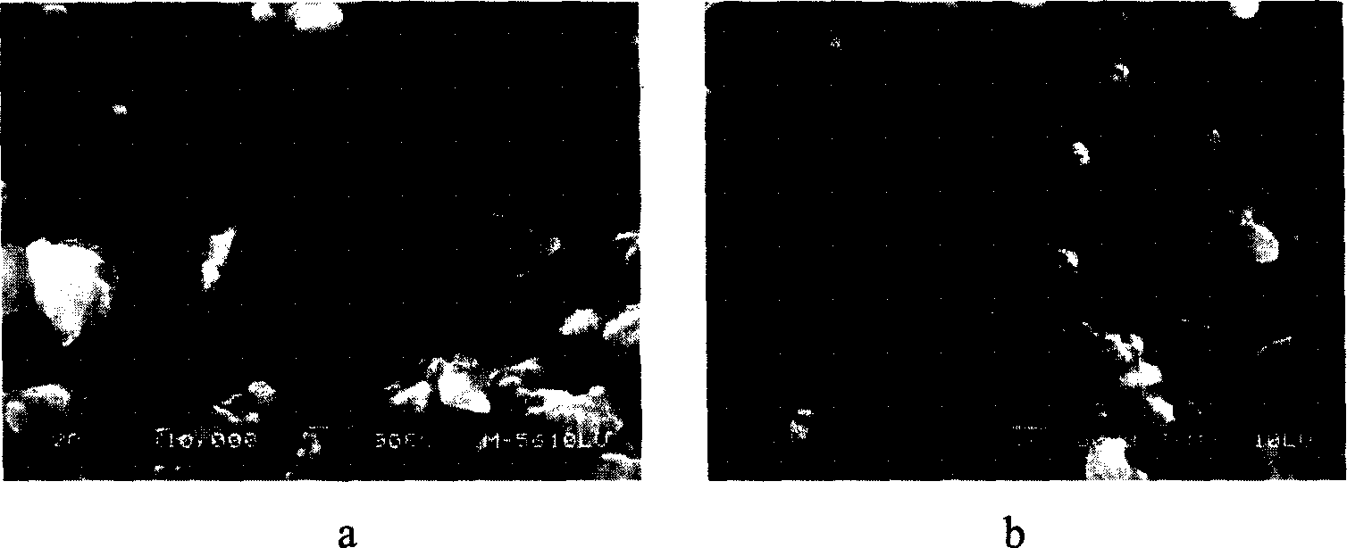 Interface modifier of organic polymer and iron inorganic composite materials and its preparation