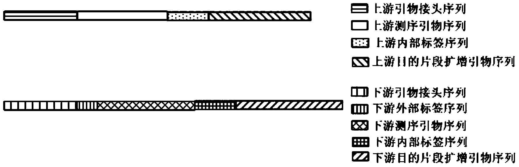 Primer applicable to amplicon sequencing library construction, construction method, amplicon library and kit comprising amplicon library