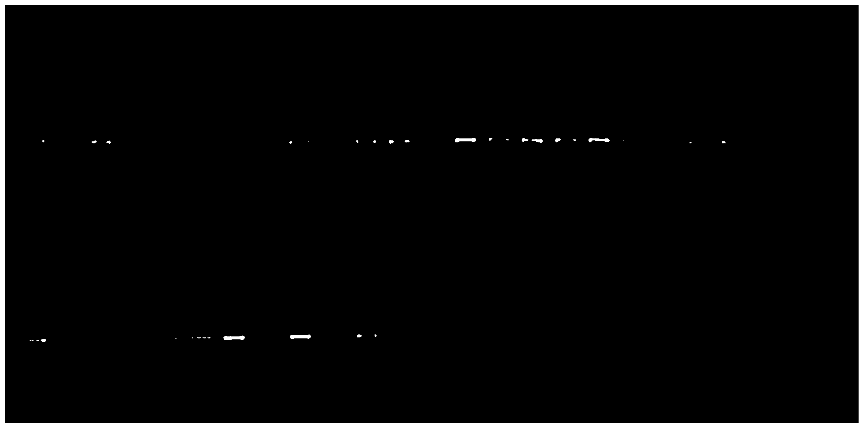 Primer applicable to amplicon sequencing library construction, construction method, amplicon library and kit comprising amplicon library