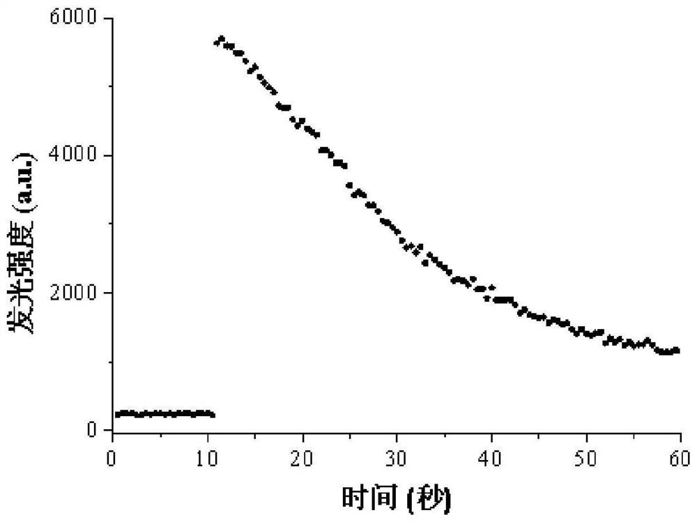 Optical fiber biosensor and application thereof in homogeneous chemiluminescence biological detection