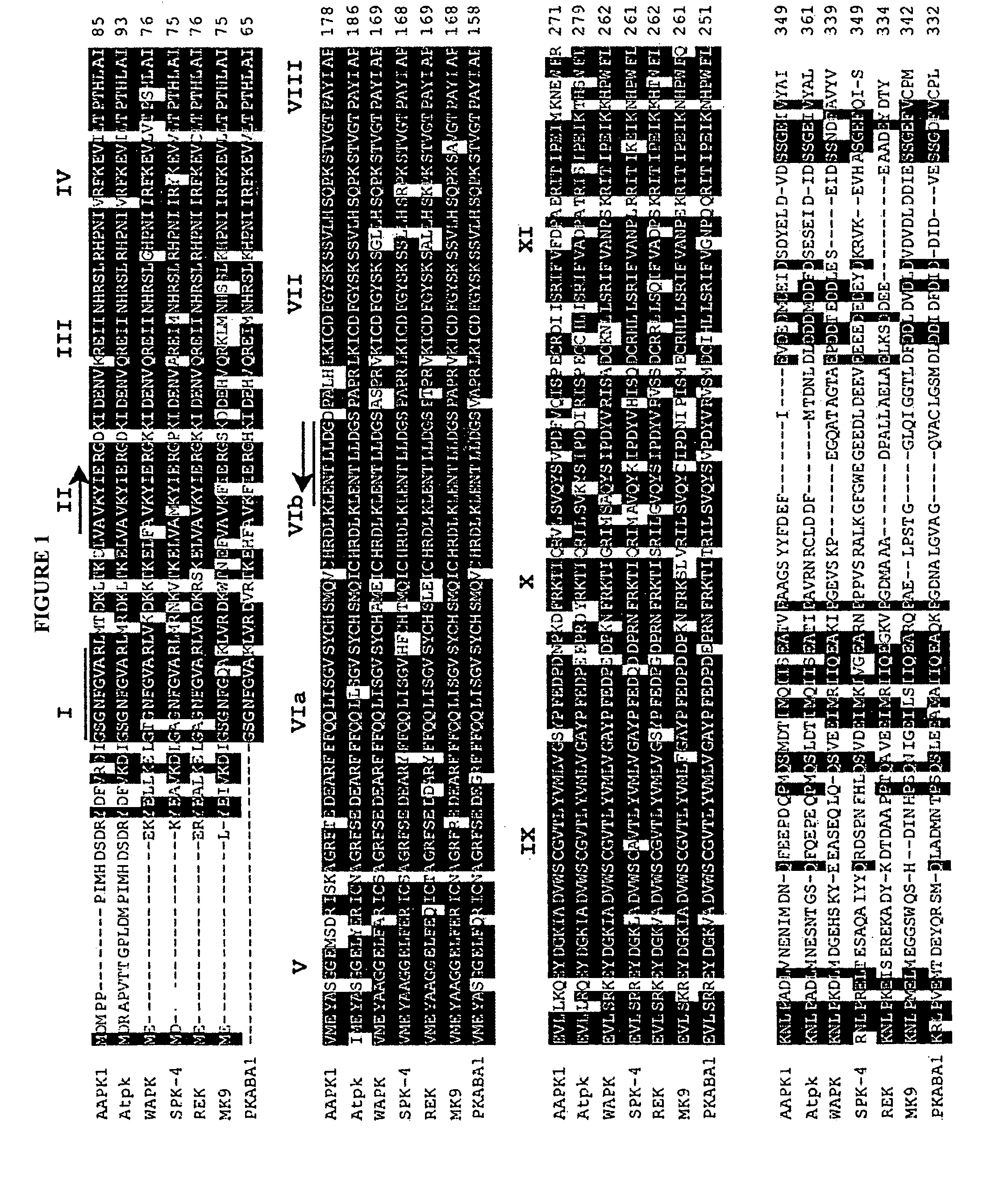 Compositions and methods for regulating abscisic acid-induced closure of plant stomata