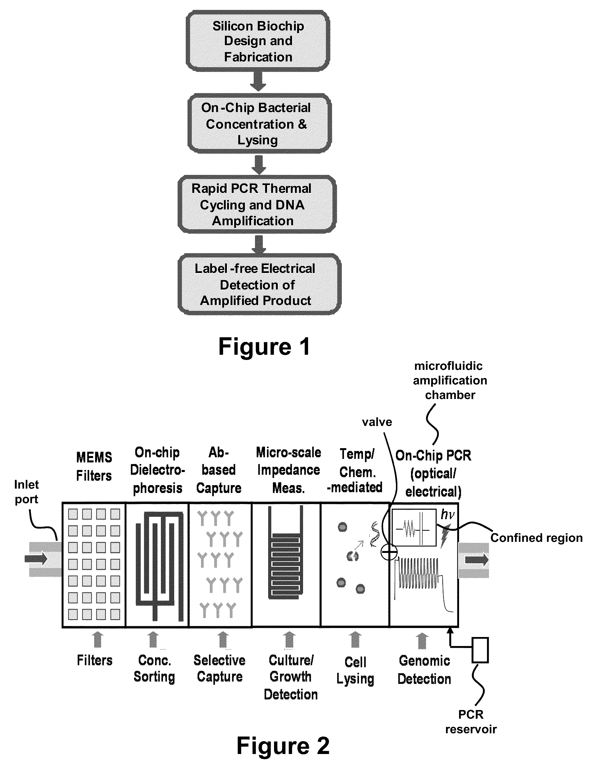 Label Free Detection of Nucleic Acid Amplification