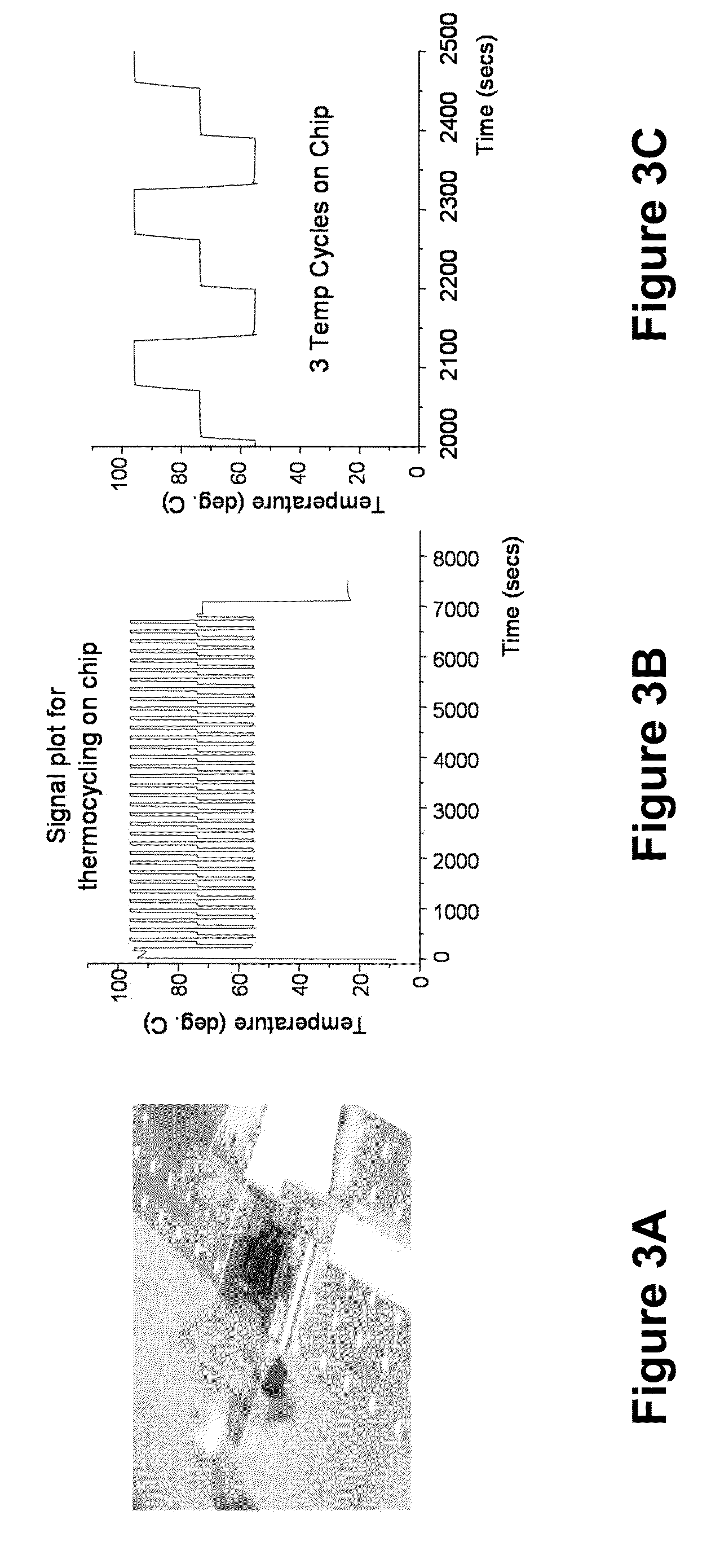 Label Free Detection of Nucleic Acid Amplification