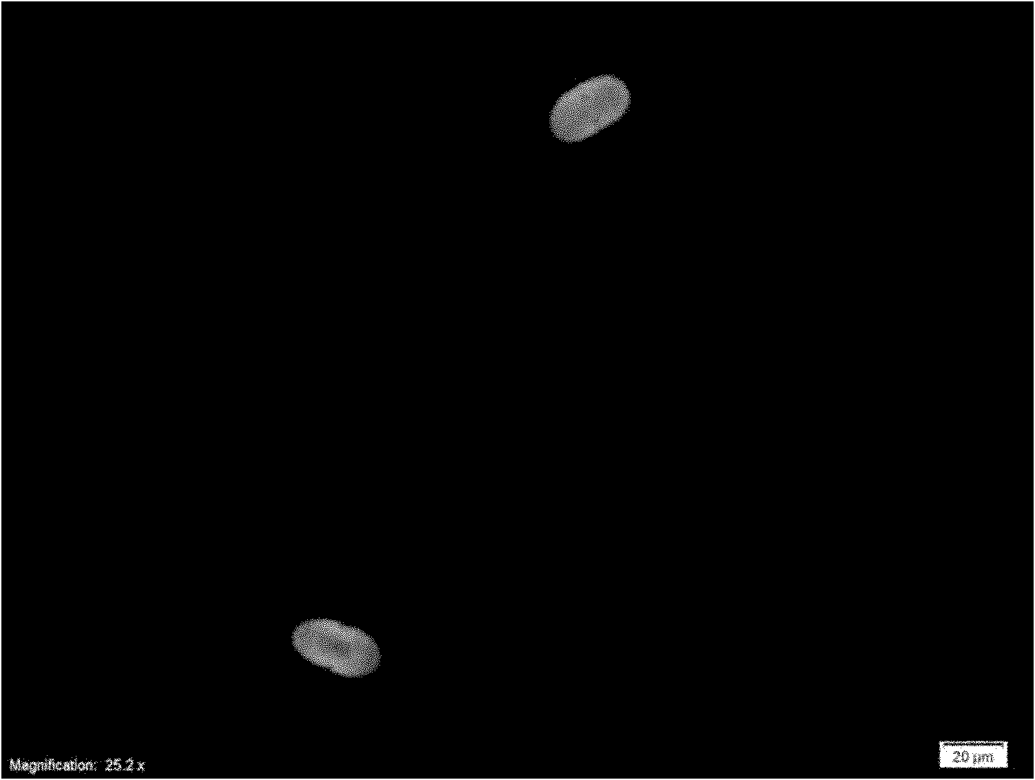 Monoclonal antibody, immune fluorescence method and kit for detecting puccinia striiformis f.sp.tritici, puccinia triticina f.sp.tritici and puccicinia graminis f.sp.tritici