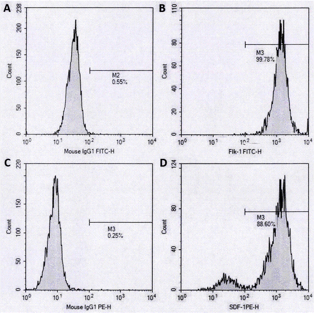 Preparation method of anti-wrinkle anti-oxidation biological mask and biological mask product