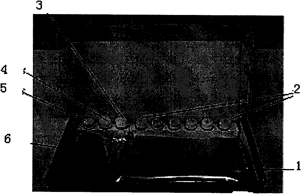 Light-induced chemiluminescent immunoassay kit and test method for chloramphenicol