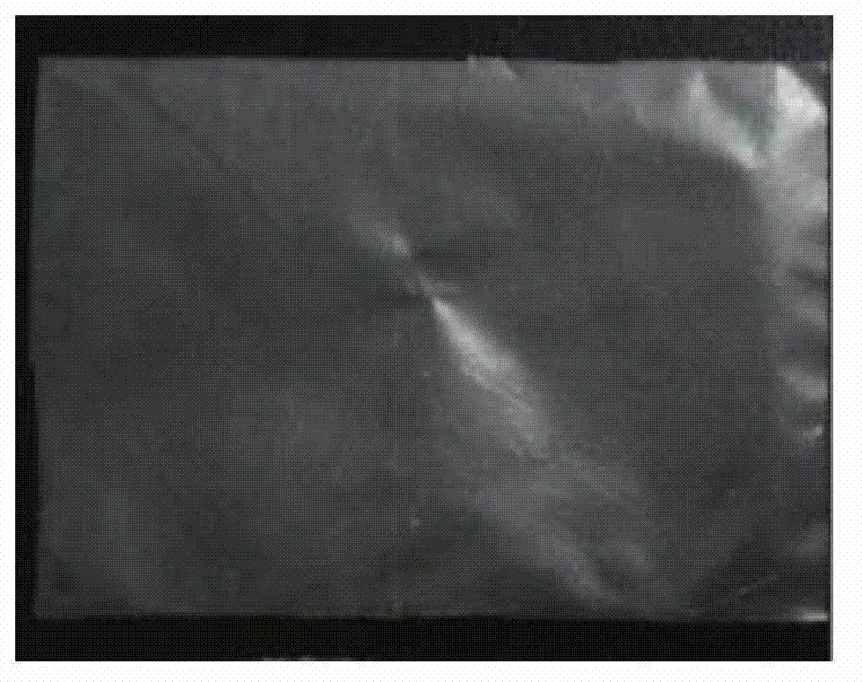 Preparation and application of cellulose nanocrystals (CNCs)-reinforced collagen compound substrate