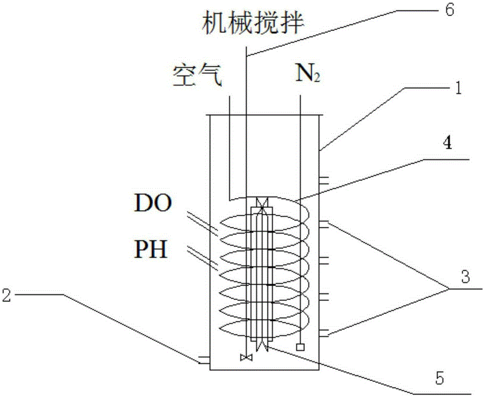 Bio-membrane reactor realizing synchronous nitrification, denitrification and anaerobic ammoxidation and fast realization method