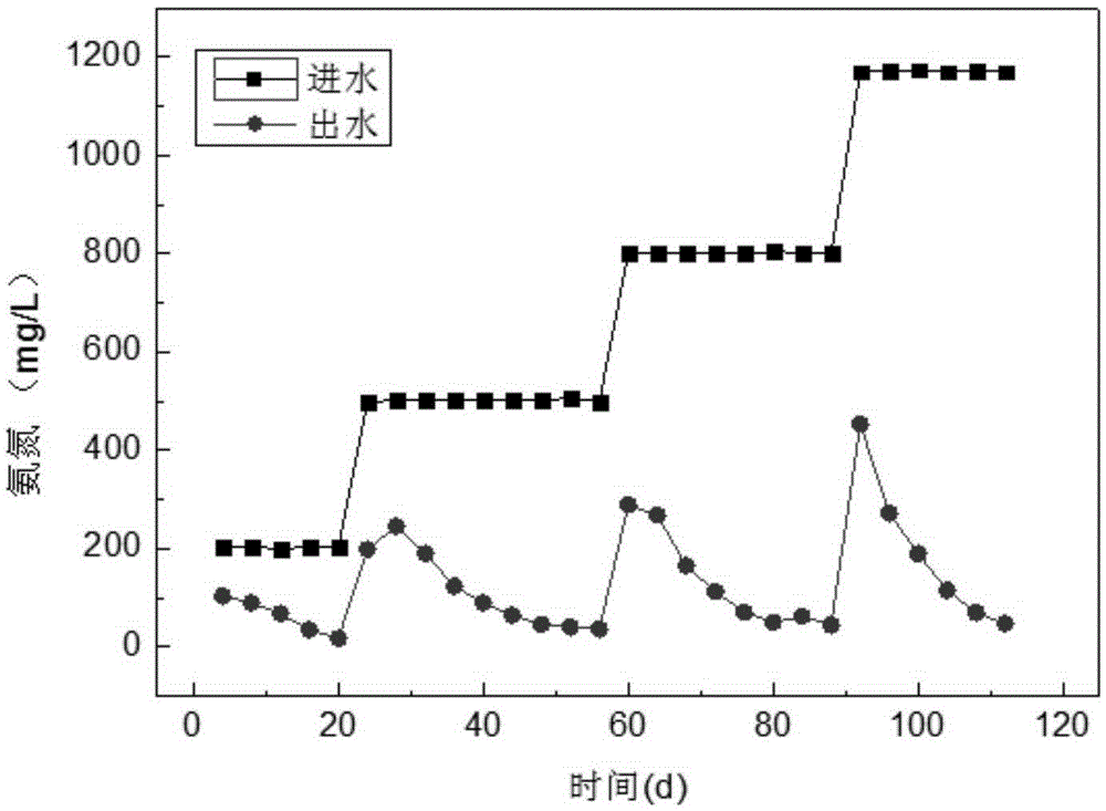 Bio-membrane reactor realizing synchronous nitrification, denitrification and anaerobic ammoxidation and fast realization method