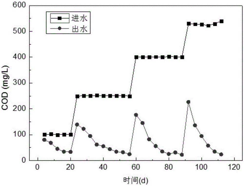 Bio-membrane reactor realizing synchronous nitrification, denitrification and anaerobic ammoxidation and fast realization method