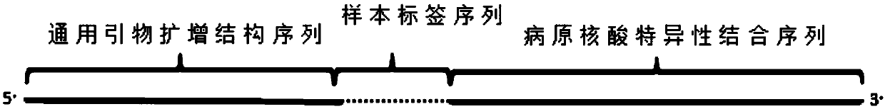 Primer group for amplifying pathogenic nucleic acid, construction method of pathogenic nucleic acid detection library and pathogenic detection method