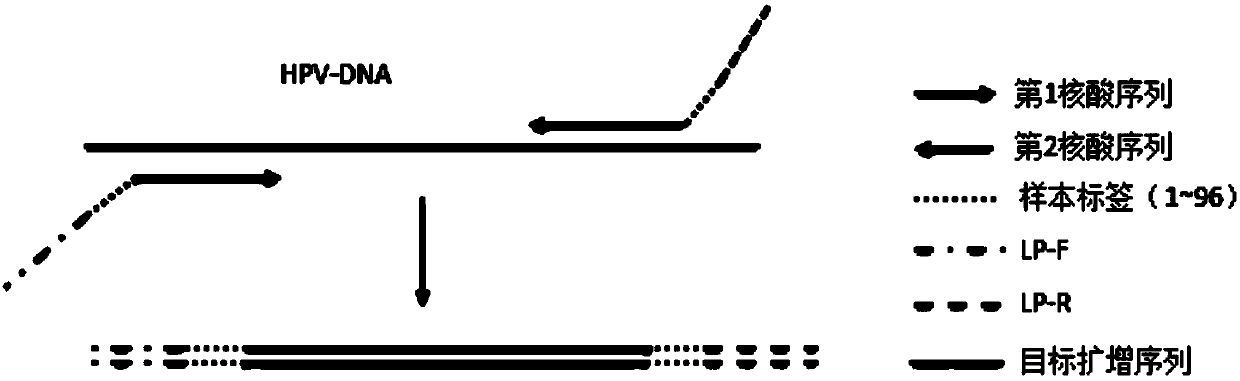 Primer group for amplifying pathogenic nucleic acid, construction method of pathogenic nucleic acid detection library and pathogenic detection method