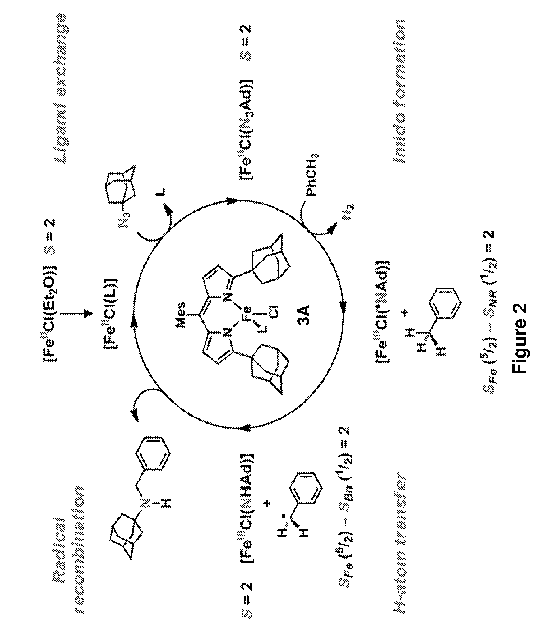 Synthesis of acyclic and cyclic amines using iron-catalyzed nitrene group transfer