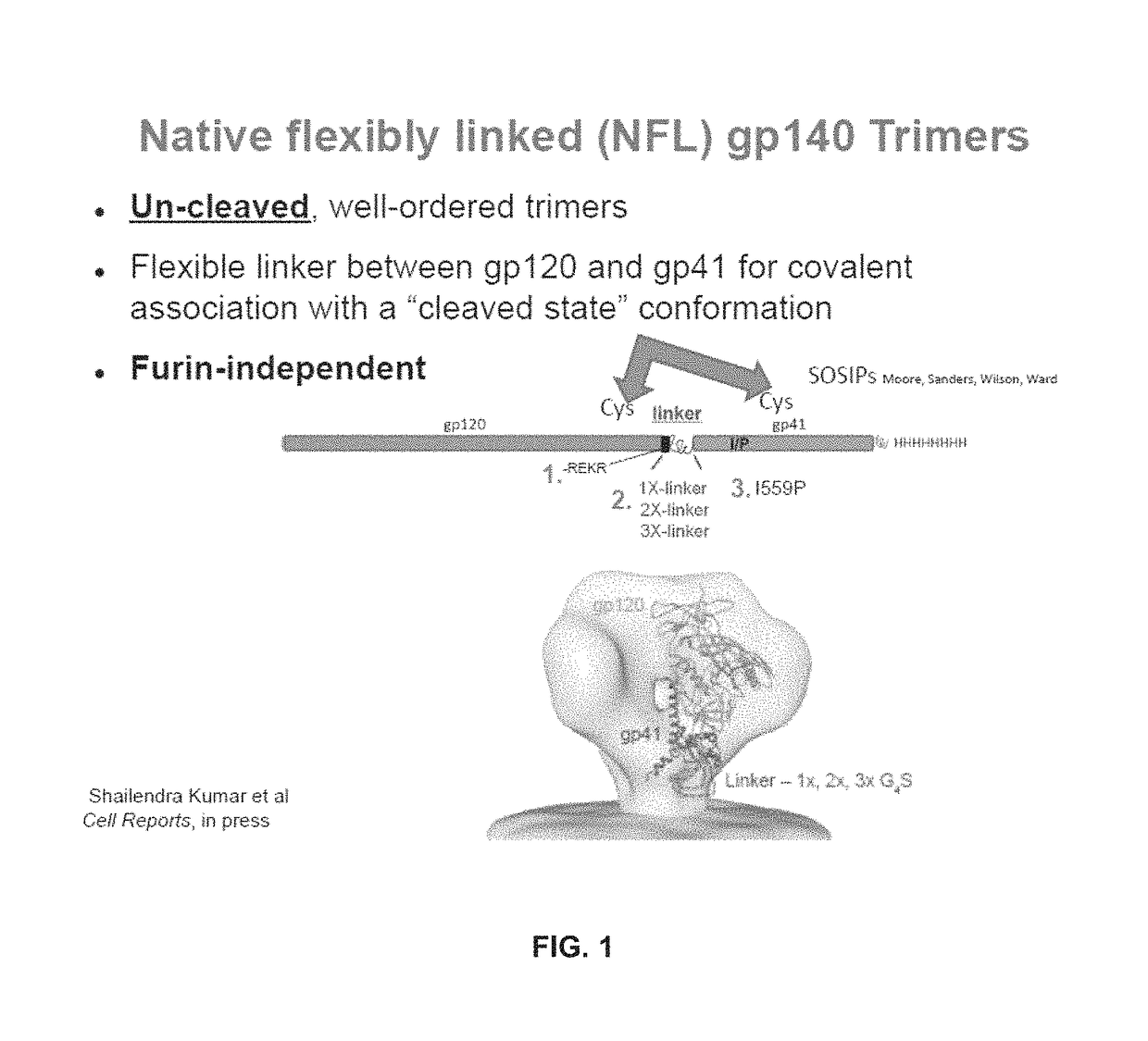 Soluble HIV-1 envelope glycoprotein trimers