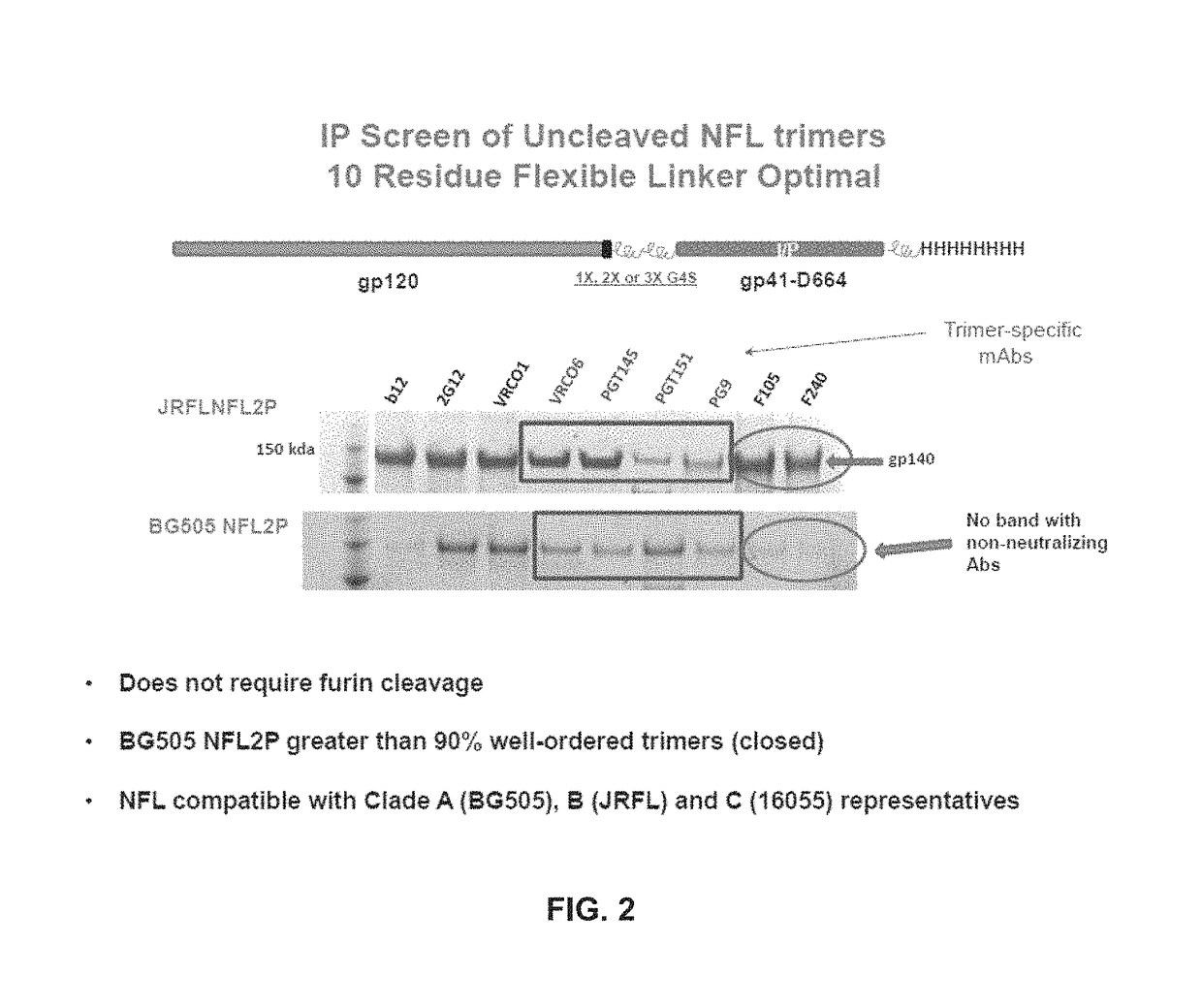 Soluble HIV-1 envelope glycoprotein trimers