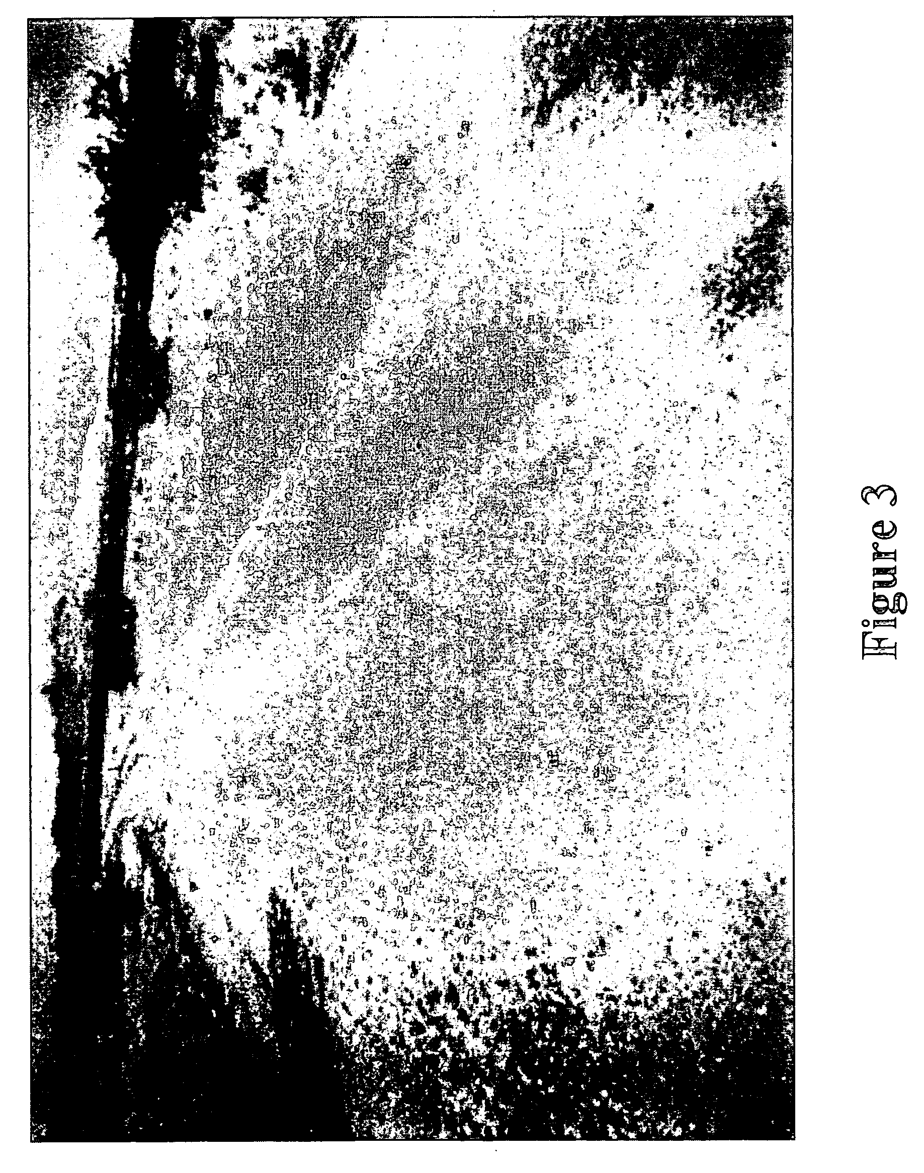 Methods and compositions for dust and erosion control