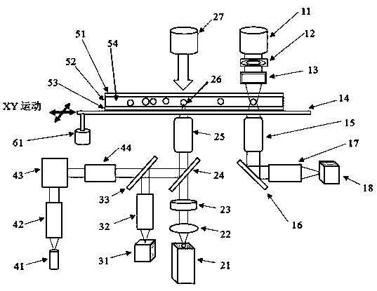 Method and apparatus for detecting bacterial resistance by single cell analysis