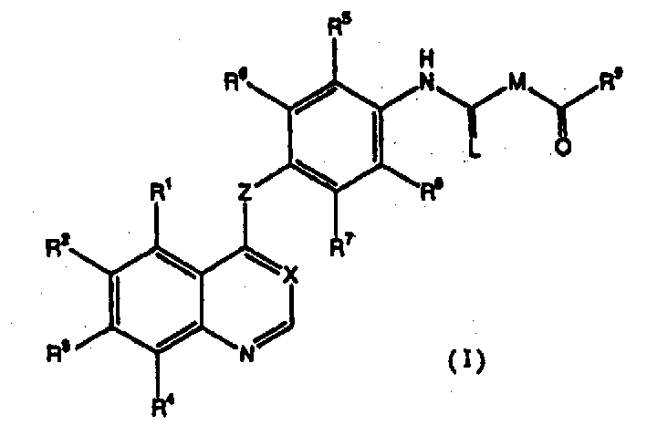 Quinoline derivative and quinazoline derivative inhibiting self-phosphorylation of hepatocytus proliferator receptor and medicinal composition containing the same