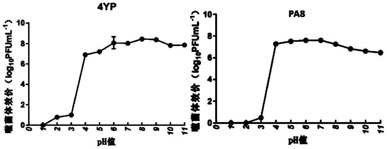 Novel phage composition of Clostridium perfringens and application of phage composition