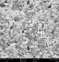 Preparation of a porous graphene-loaded weak-light photocatalyst-nanosilver composite antiviral powder