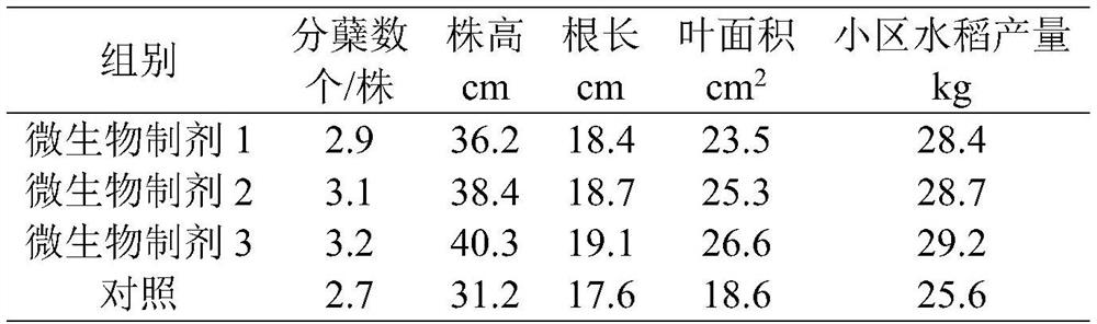 Microbial preparation for improving soil fertility of saline-alkali soil and preparation method thereof