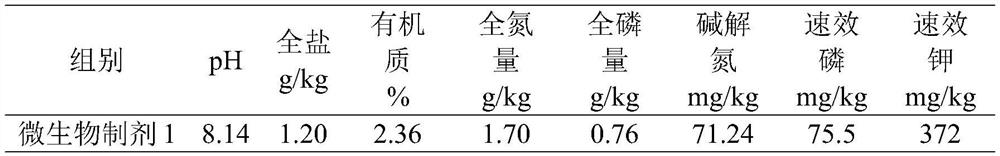 Microbial preparation for improving soil fertility of saline-alkali soil and preparation method thereof