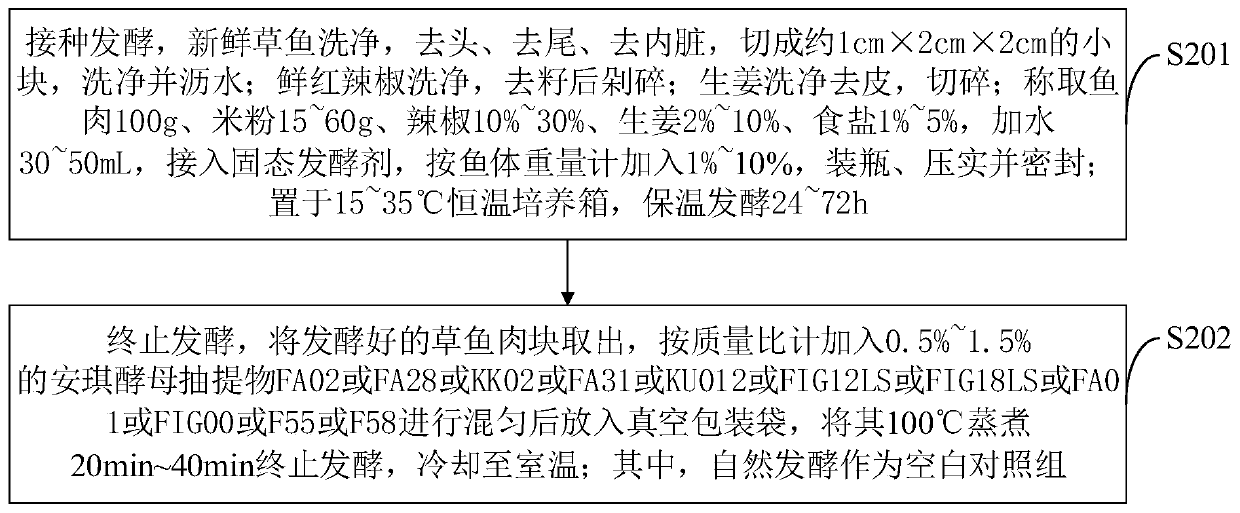 Bacterium-enzyme synergistic solid state fermentation agent based on combination of composite strains with ficin