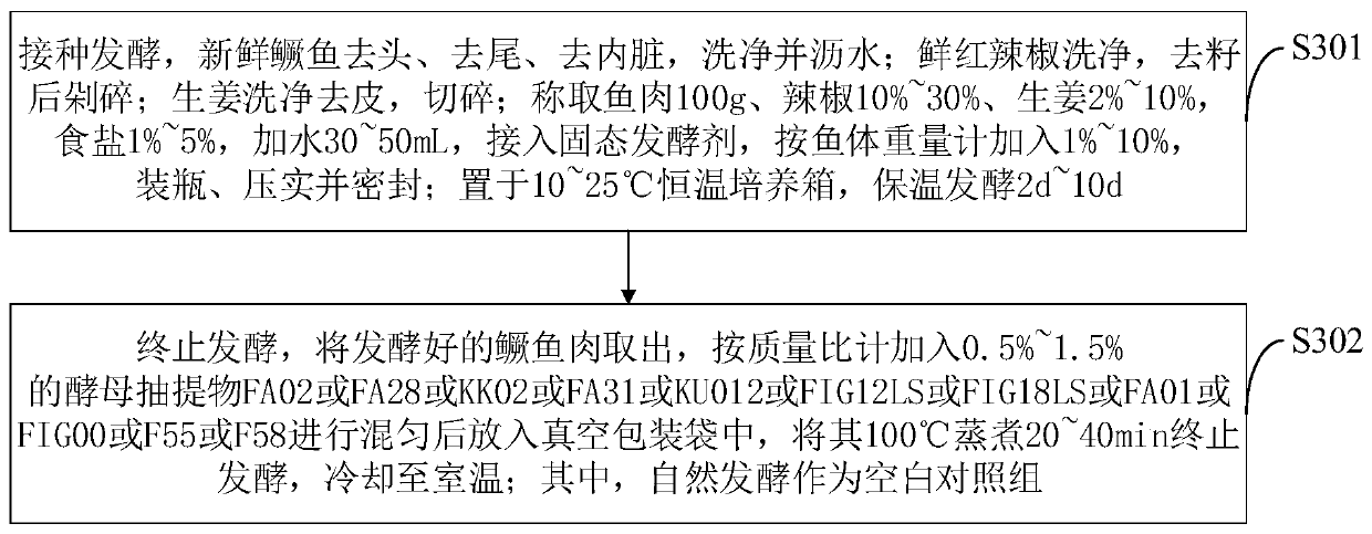 Bacterium-enzyme synergistic solid state fermentation agent based on combination of composite strains with ficin