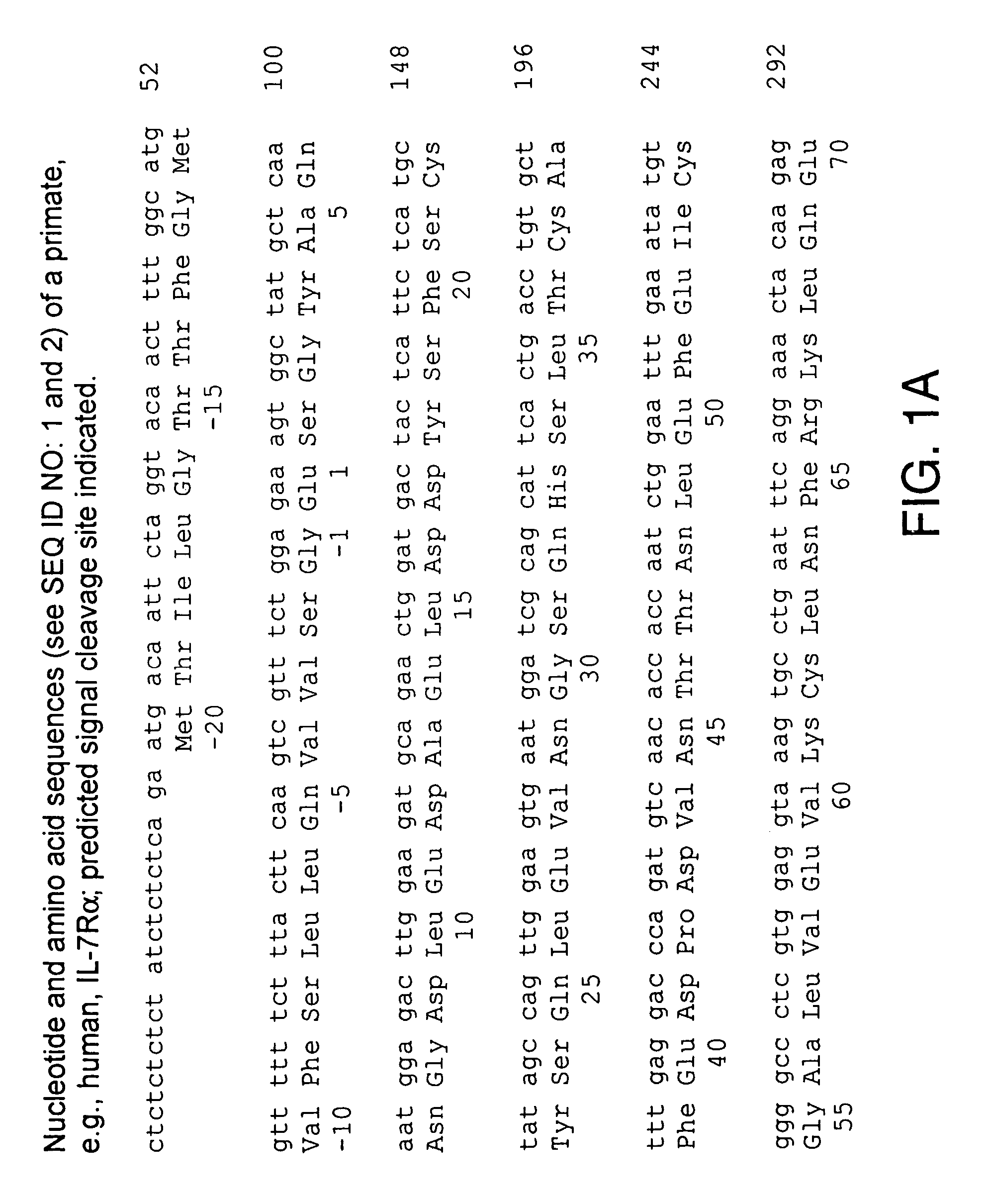 Cytokine receptor