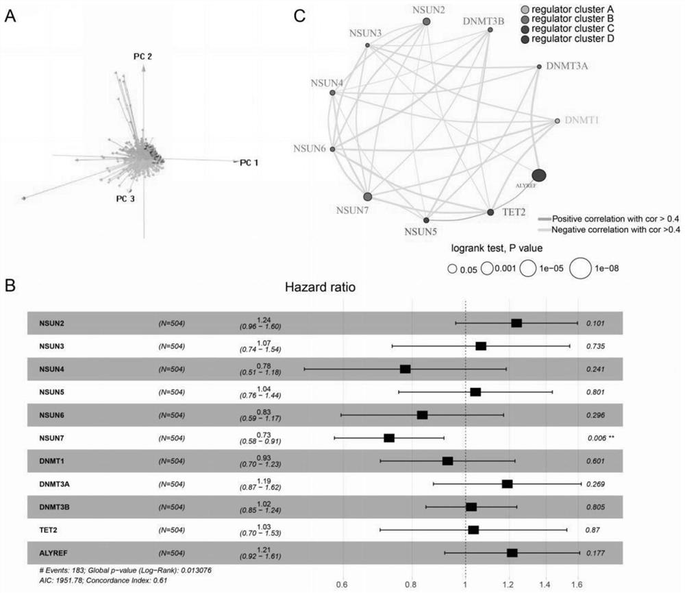 Application of m5c modification regulating genome in preparation of tumor prognosis assessment reagent or kit