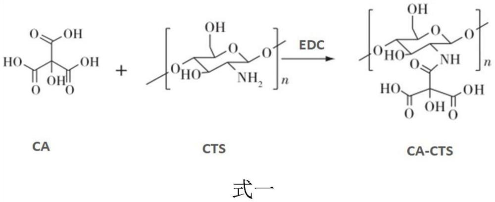 A blood purification modified membrane and its preparation method