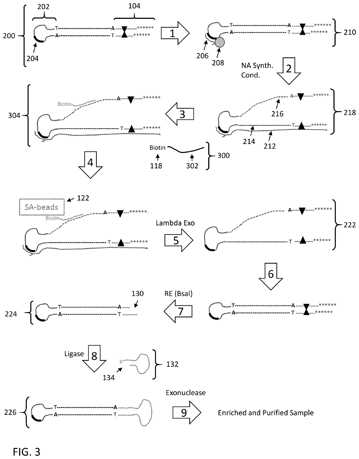 Enrichment of DNA comprising target sequence of interest