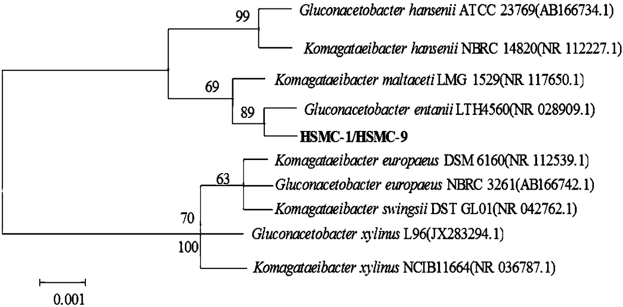 Method for preparing fermented fruit vinegar rich in anthocyanin