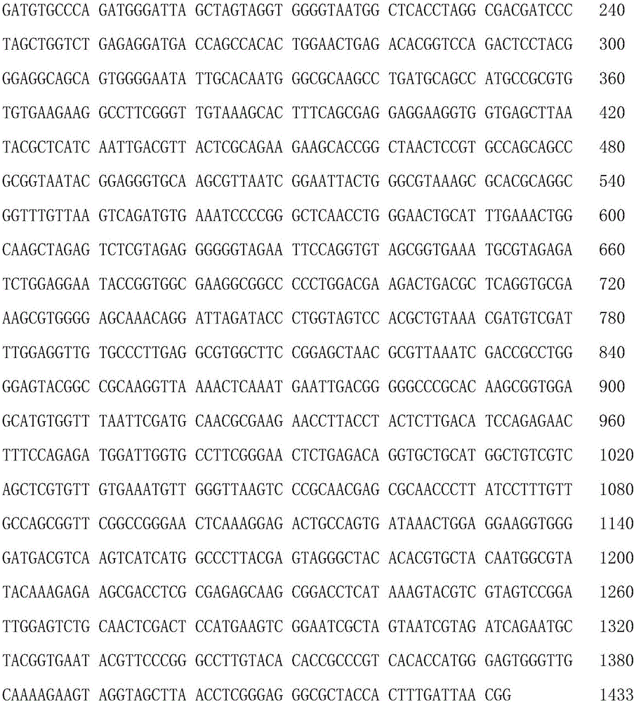 Serratia marcescens for degrading sodium lauryl sulfate and use thereof