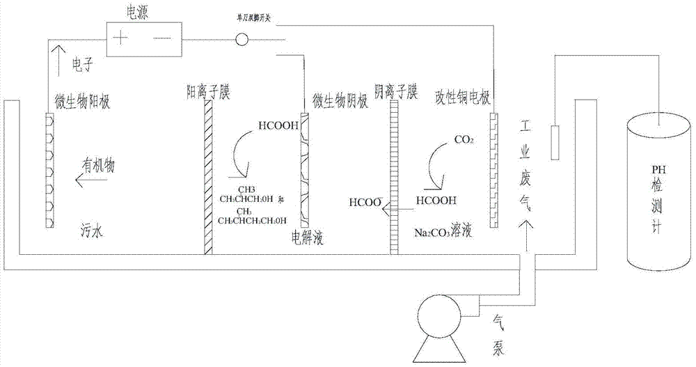 Microbial electrochemical reactor and method for fixing carbon dioxide in waste gas to generate organic products while treating sewage