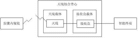 Capsule endoscope diagnosis and treatment system and control method thereof