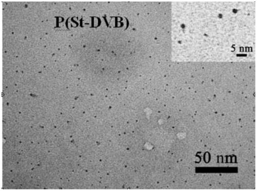 A kind of janus material of polymer single chain/nanoparticle composite structure and its cationic-initiated double-bond polymerization preparation method