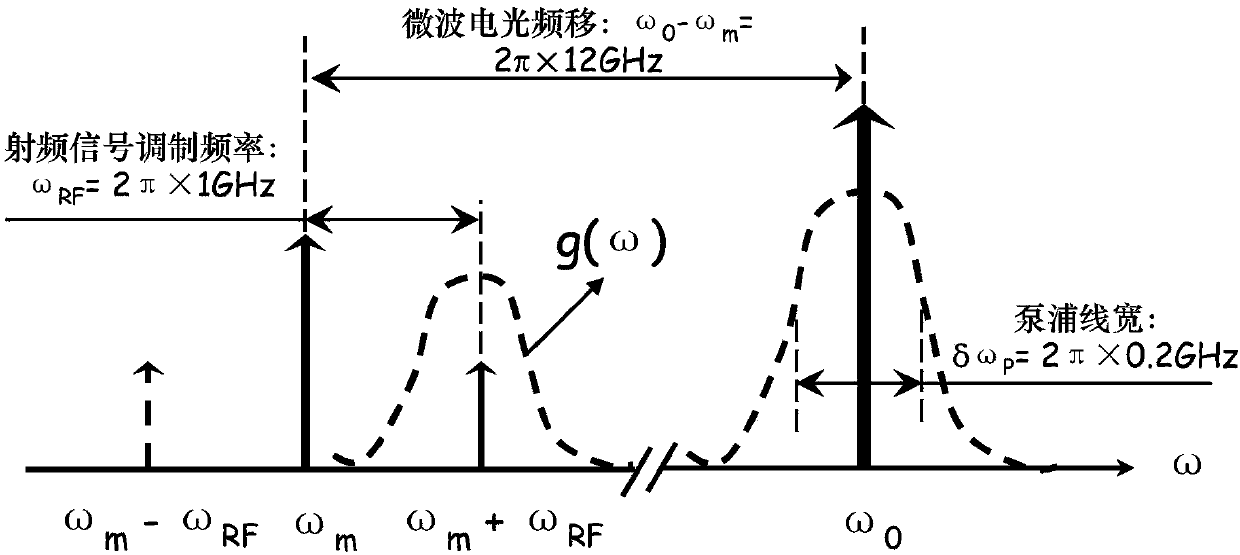 Dynamic strain measurement method and dynamic strain measurement device based on Brillouin phase shift detection