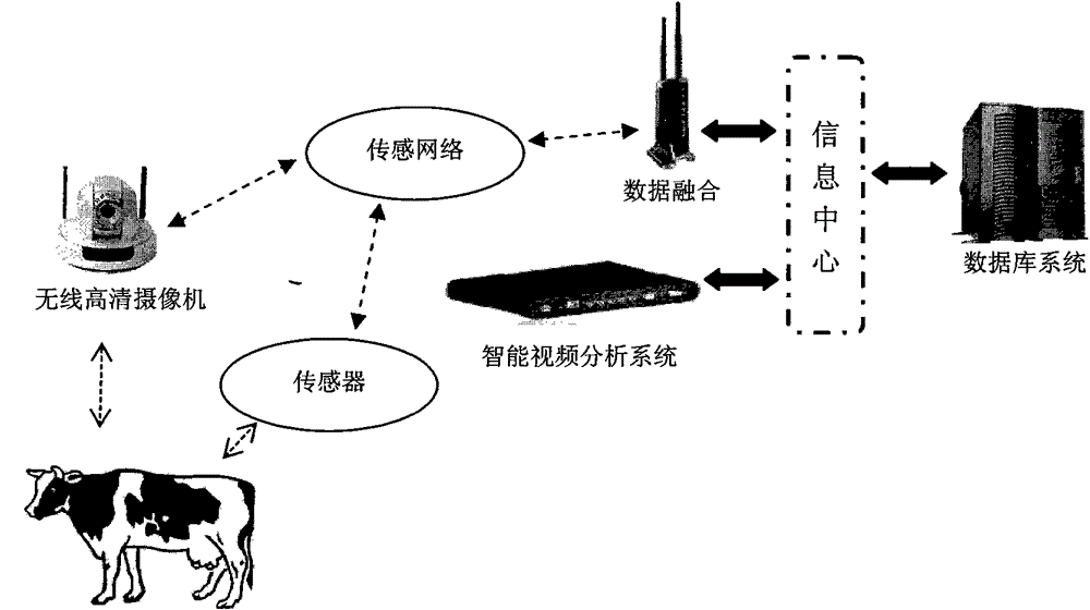 An Intelligent Monitoring System of Livestock Behavior Based on Internet of Things and Computer Vision