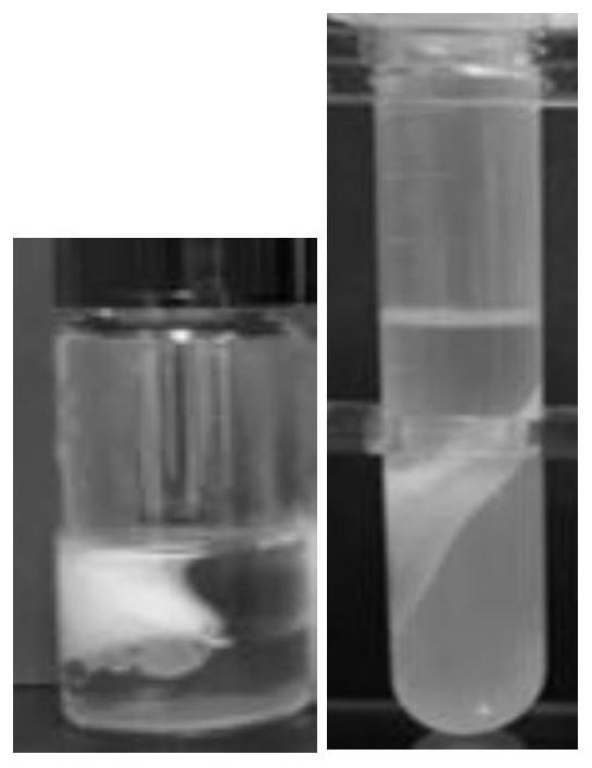 Preparation method of Pickering emulsion gel with synergistically stable alcohol soluble protein, amino acid or/and polysaccharide