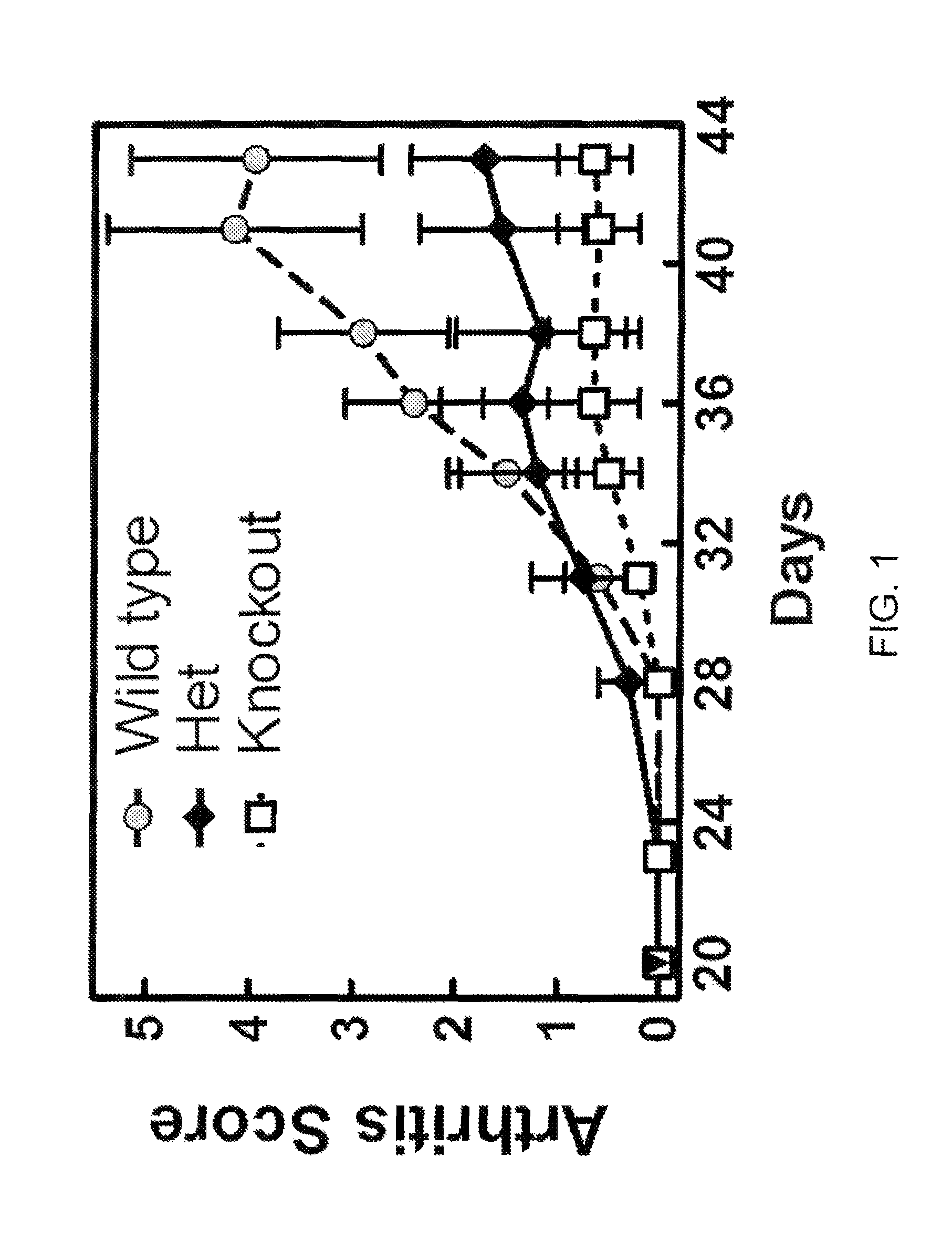 Neutralizing anti-CCL20 antibodies