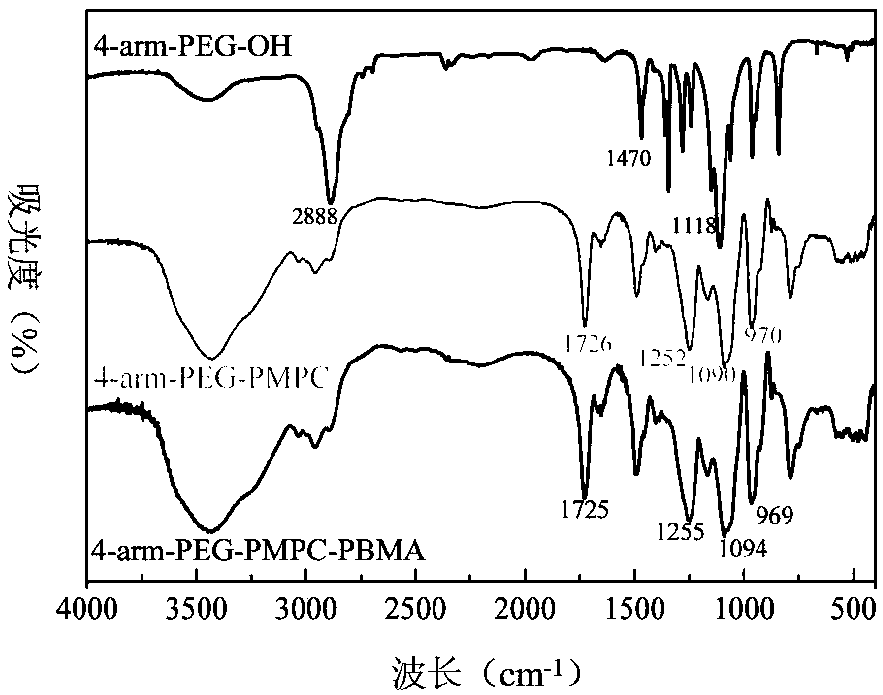 Star polymer drug carrier and preparation method thereof