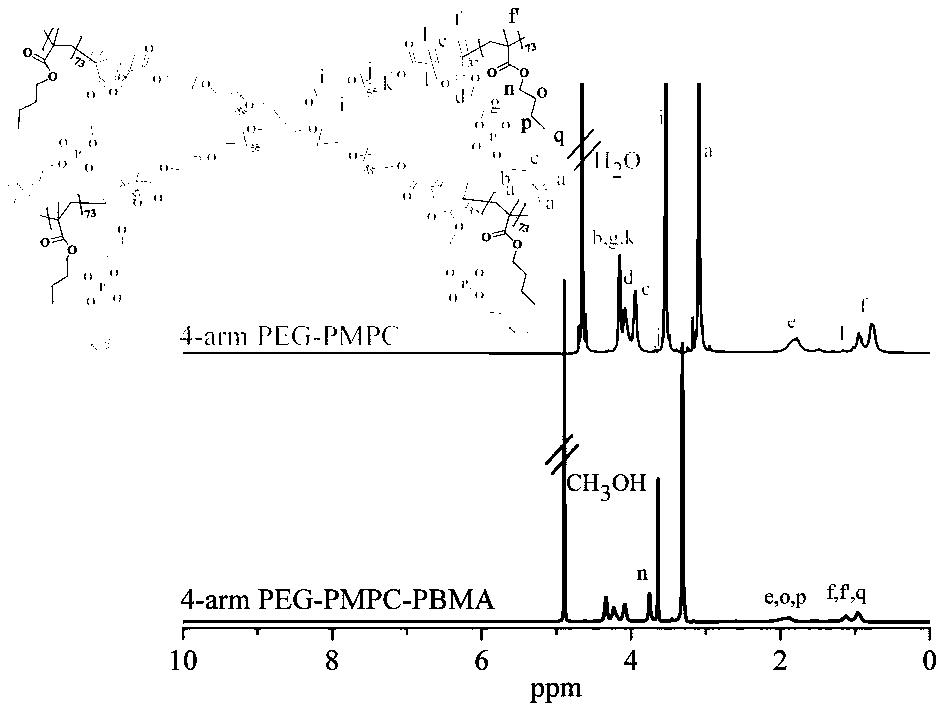 Star polymer drug carrier and preparation method thereof