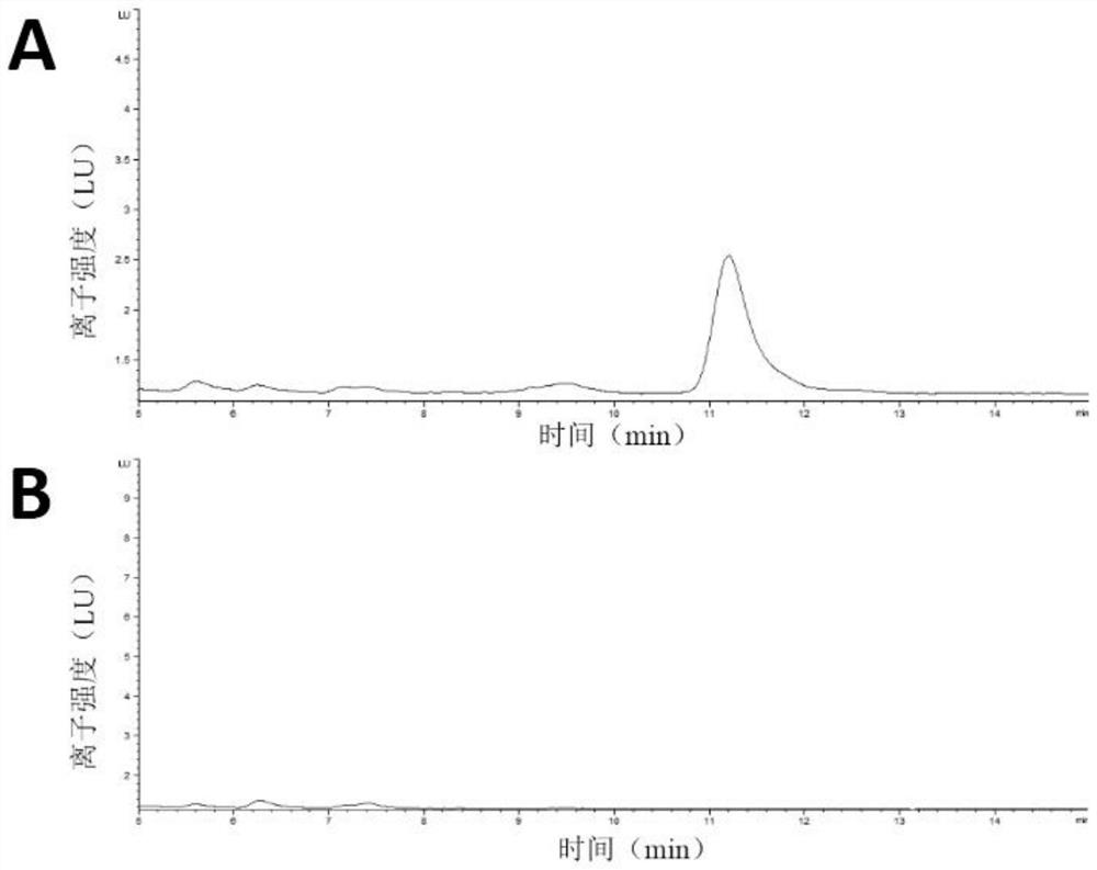 Amine oxidase ASAO, preparation method and application