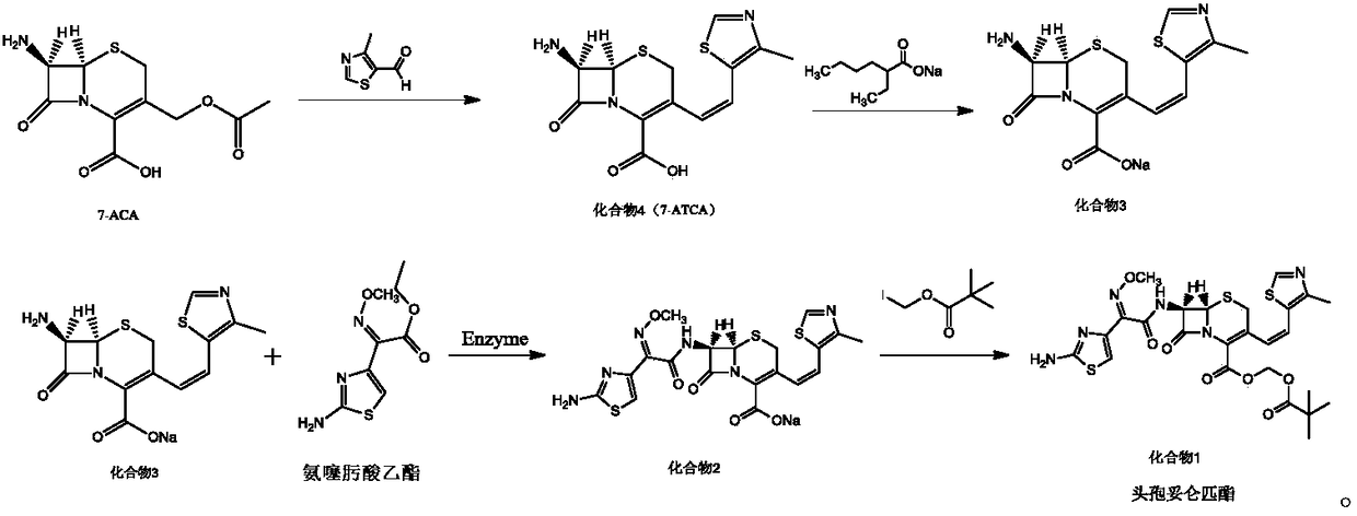 Preparation method of cefditoren pivoxil