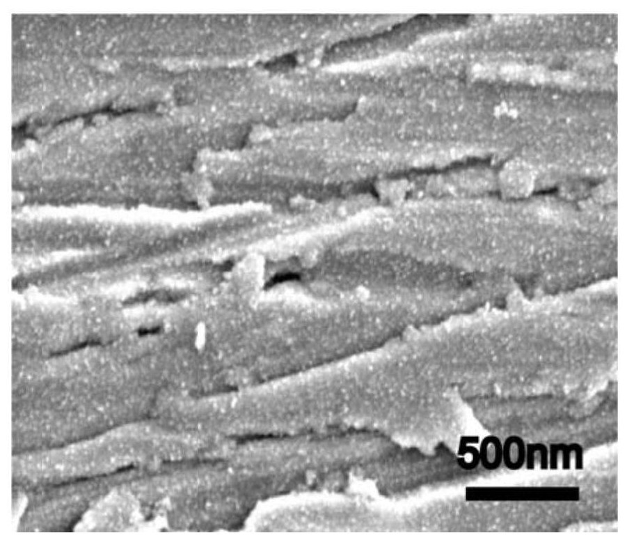 Double-phase interface protected metal zinc negative electrode and preparation method and application thereof