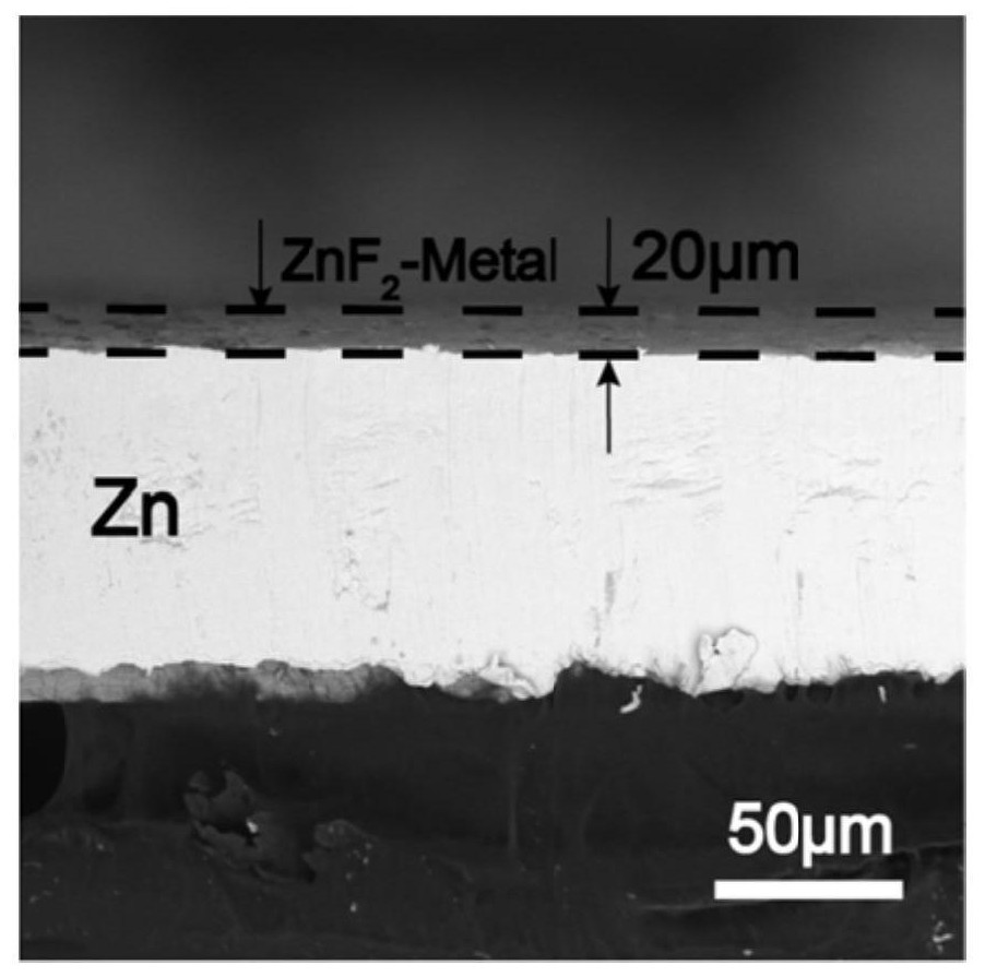 Double-phase interface protected metal zinc negative electrode and preparation method and application thereof